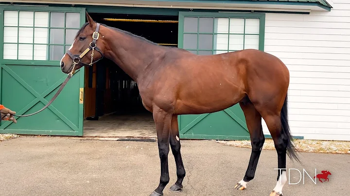Thousand Words a Veritable Picture at Spendthrift
