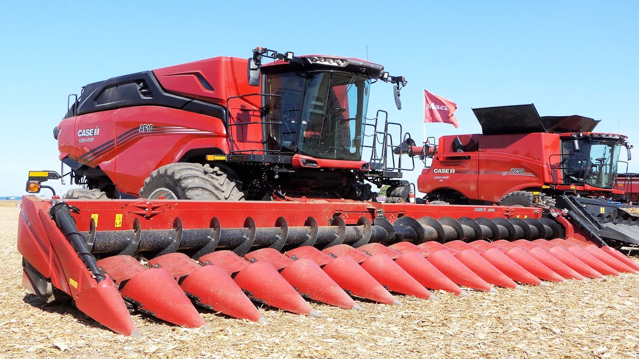 Case IH AF10 Combine Harvesting Corn with 16-Row Corn Head
