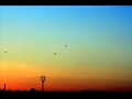 Phil Collins - True Colors (SAXTRIBUTION)