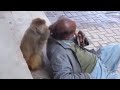 يع ايه القرف ده يع ايه القرف ده