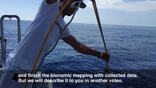 "Things we do in CIMA" 19: Oceanographic Campaign I #CIMASL #CosasCIMASL