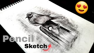 How to Draw a Bird | Rohan Arts