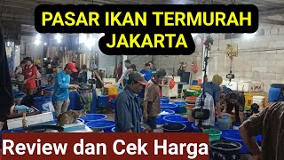 TERMURAH Pelelangan Ikan Kalibaru Cilincing - Pesaing Pasar Ikan Muara Angke - Review dan Cek Harga