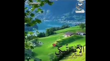 (قال إنما أشكو بثي وحزني الى الله) القارئ خالد الجليل حالات واتس قرآن کريم | سورة يوسف تلاوة خاشعه