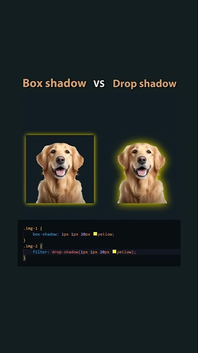 Difference Between Box Shadow and Drop Shadow in HTML and CSS? | codebithanupam