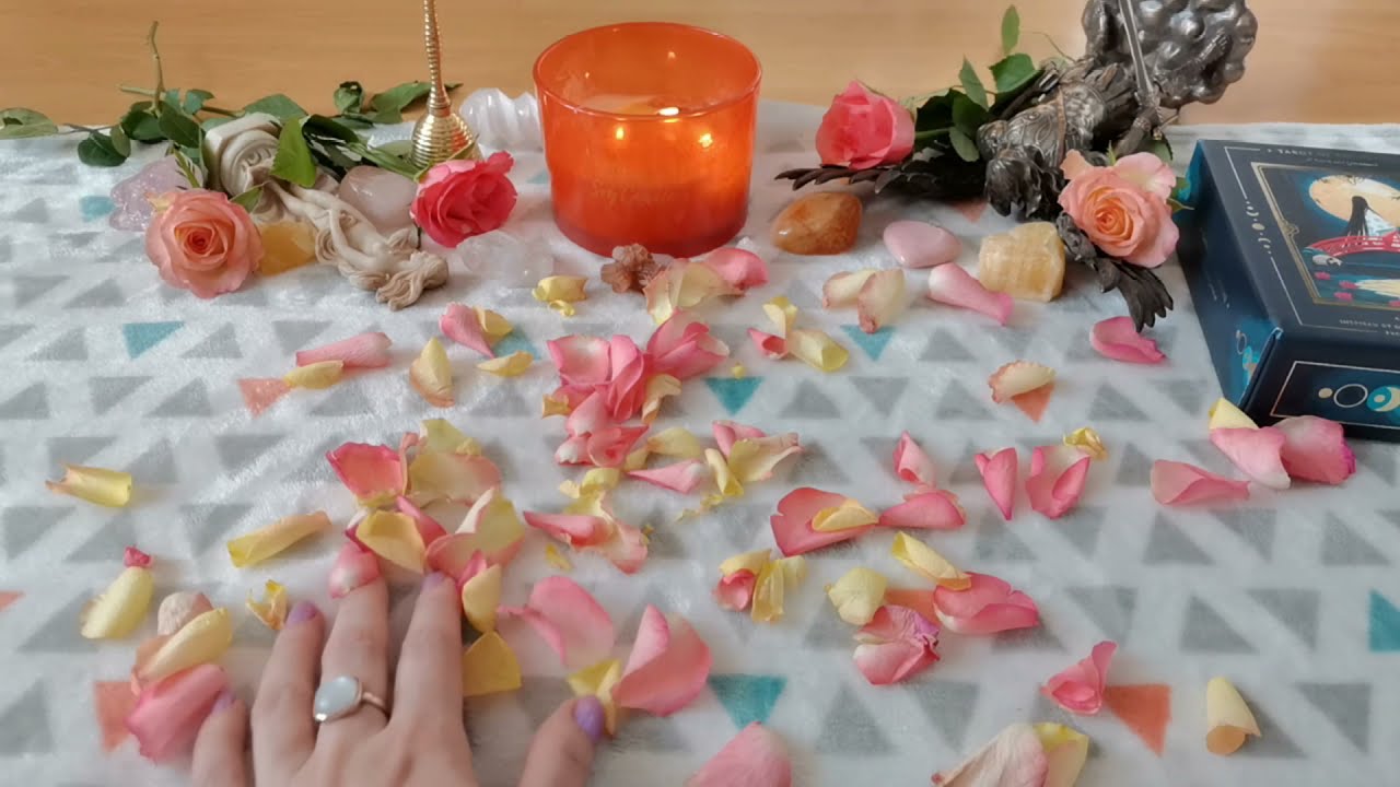 🌹 Rose Petal Reading // Your Next Romantic Encounter #roseomancy