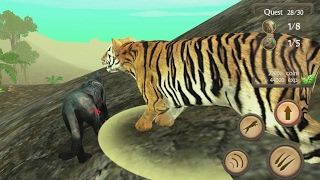 Wild Panther Sim 3D Android Gameplay #17 screenshot 5