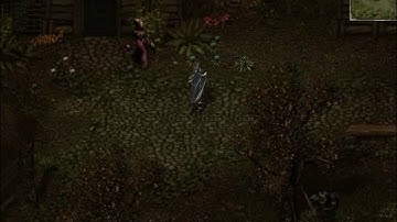 Divine Divinity - The Invasion of Aleroth