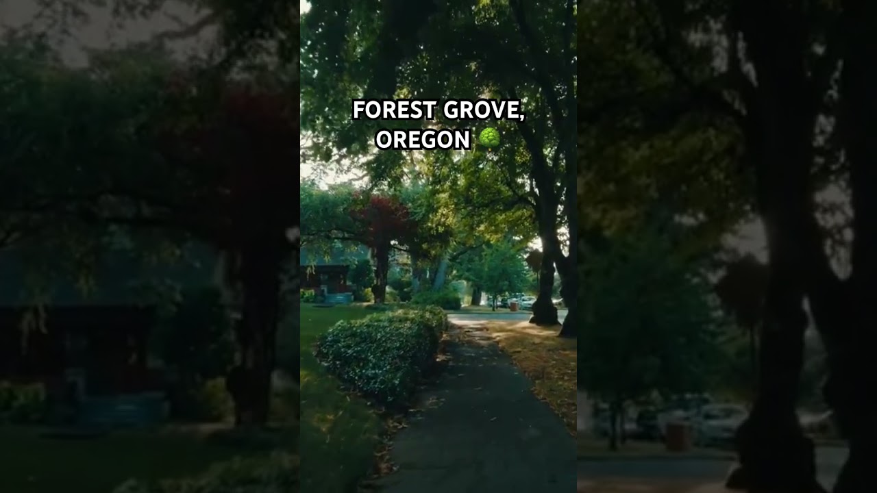 Relaxing Walk Through Forest Grove, Oregon 