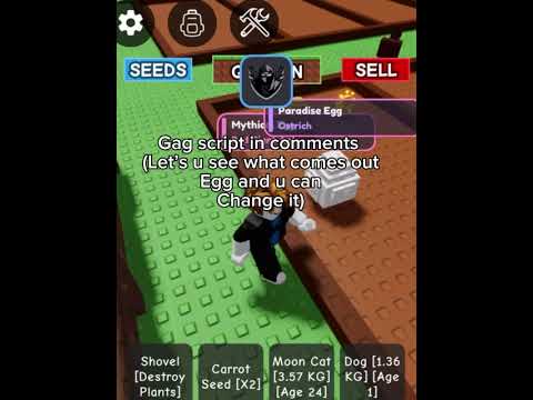 Egg Randomizer Script Only Works In Public 