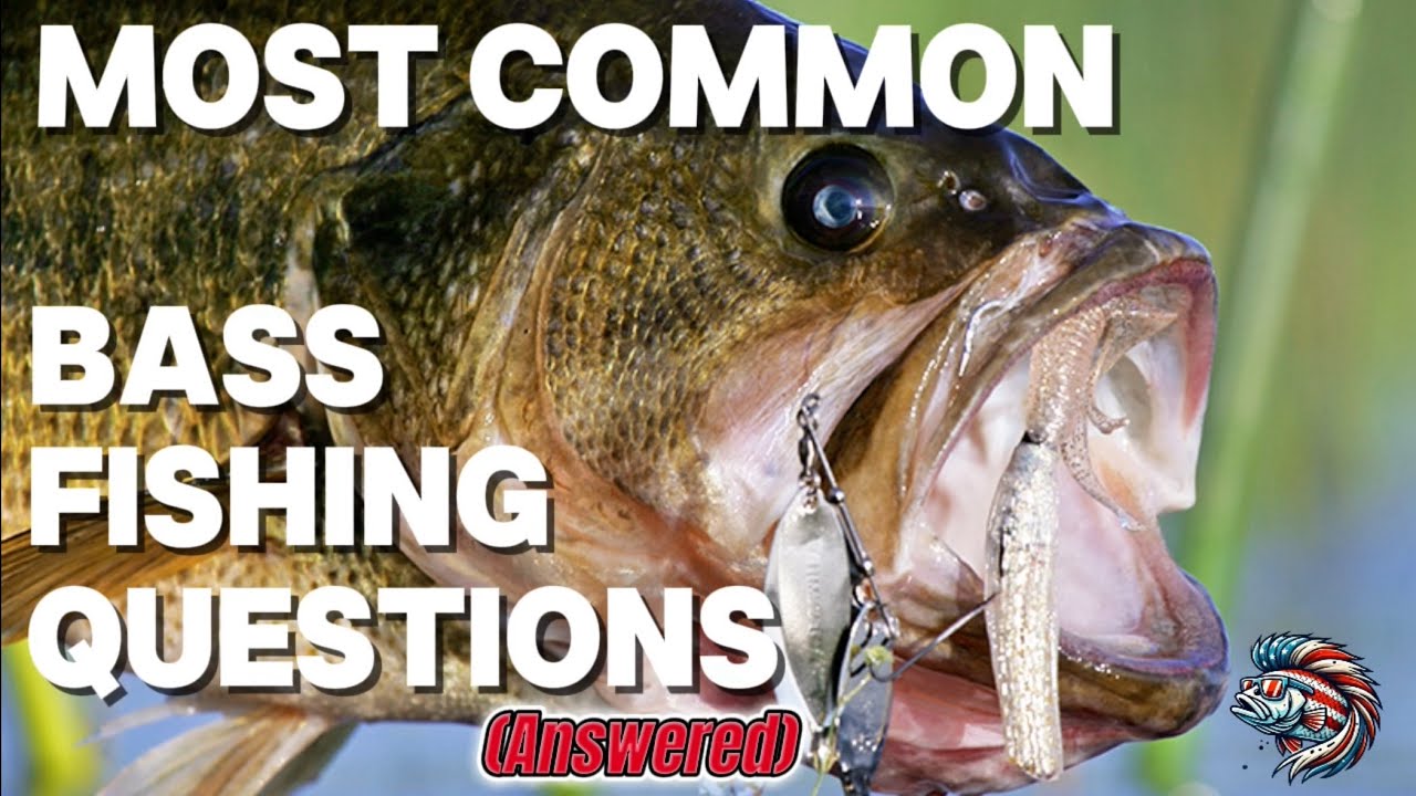 Most Common Bass Fishing Questions ANSWERED in 400 Seconds