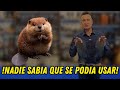 NO TODOS SABIAN ESTO I EL LUJO DE LO EXOTICO I