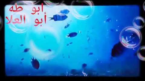 الطبلاوى سلطان التلاوة وتلاوة جميله جدا من قرآن الجمعه من سوره الأنعام والنازعات من التسجيلات النادر