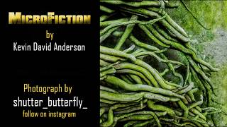 MicroFiction from Kevin David Anderson