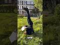 He Falls For A Living!? 😮