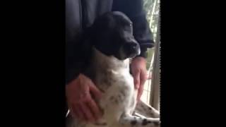 IMG 7988