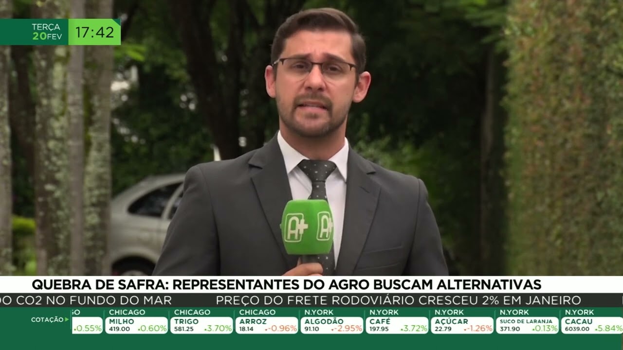 Quebra de safra: representantes do agro buscam alternativas