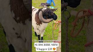 Bakrid 2026  Retteri Goat Market 2026 5 Am  12 Pm goat sheep farming  fyp market