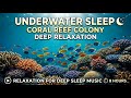 Soothing Sea Waves with Peaceful Sea Energy for Mind and Body Restoration
