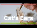 羊毛フェルトとワックスで作る猫の耳/Cat’s Ears