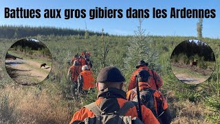 Chasse en battue dans les Ardennes partie 2