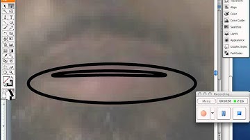 Animate a picture using illustrator and Flash-part 3 of 10