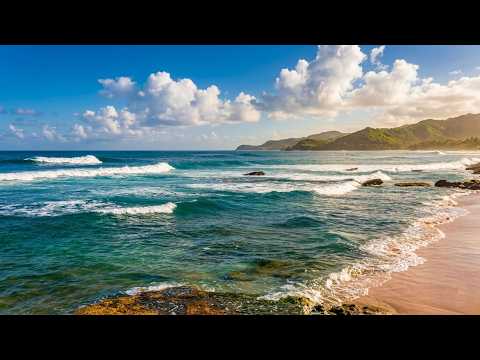 Deep Focus Ocean Waves (NO ADS) Natural White Noise from Portugal for Studying & Reading