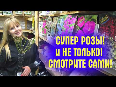 РОЗЫ НА ВЕСНУ! НАЧИНАЕМ ОТПРАВКУ! ПОКАЗЫВАЮ какие САЖЕНЦЫ ПОЕДУТ К ВАМ! Холодильник с растениями!