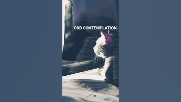 Lofi beat on the mpc one