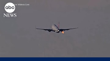 Seattle-bound Delta flight makes emergency landing after bird strike during takeoff