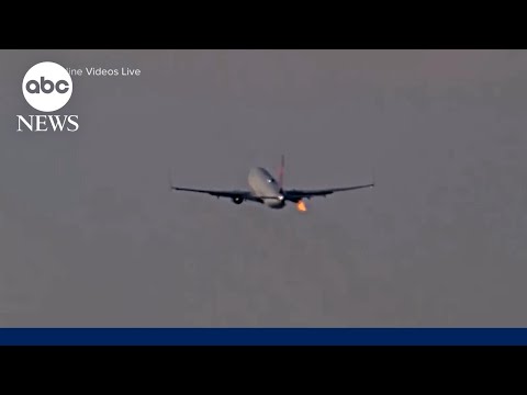 Seattle-bound Delta flight makes emergency landing after bird strike during takeoff