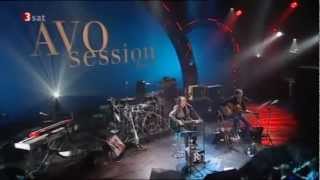 Ray Davies  "The AVO Session" (Live Video 2010)