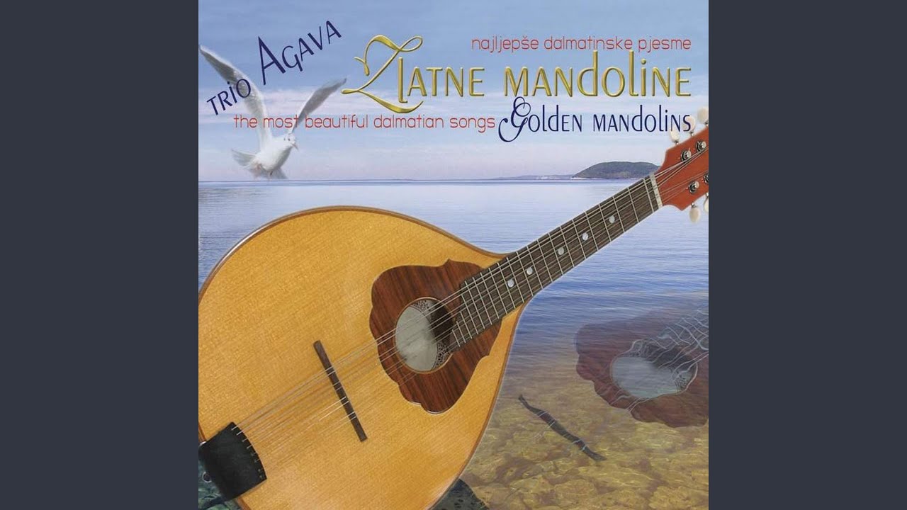 Dalmacijo mix: zbogom dalmacijo, ludo more, maslina je neobrana, dalmacija u mom oku, falile se...