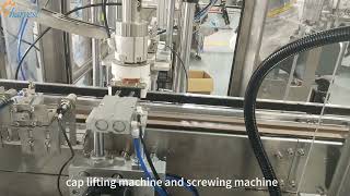 Celebrity Single Head Servo Grabbing and Rotating Machine: Paired with Cap Sorting Lifting Machine Profile