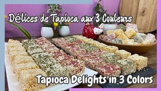 Délices de Tapioca aux 3 Couleurs - Tapioca Delights in 3 colors