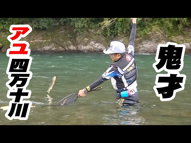 東北鮎人 sddefault.jpg