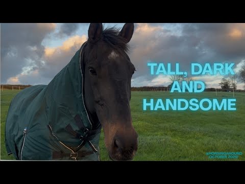 TALL, DARK AND HANDSOME!