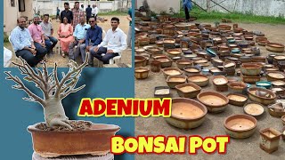 पंडित जी के Pots Adenium के लिए | Ceramic Pots for adenium bonsai | Padma Shree Brahmdeoram Pandit