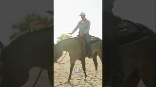 Let’s learn about Western Pleasure in the quarter horse industry #aqha