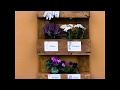 Etichette adesive personalizzate resistenti all'acqua: usale per realizzare un giardino verticale!