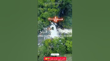 آية النور  اللَّهُ نُورُ السَّمَاوَاتِ وَالْأَرْضِ  تلاوة هادئة ومريحة للنفس