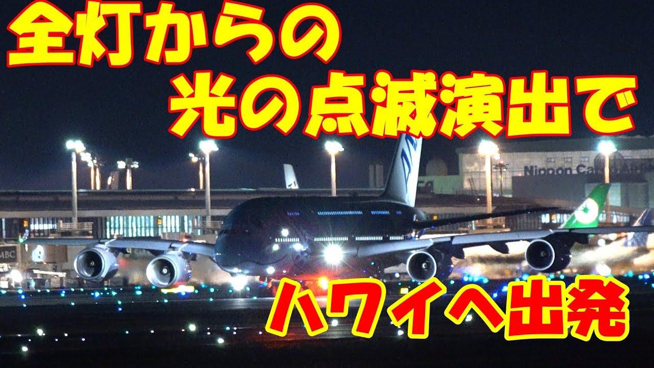 ラニくん＆ラーちゃん✈️ 光の点灯点滅演出でハワイへ！🌺 パイロット