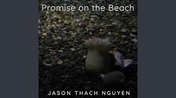 Promise On the Beach