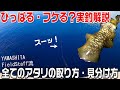 イカのアタリを取る方法！ラインが走る、フケアタリ、イカパンチ、モゾっとしたアタリなど実釣解説　プロが教えるエギング講座