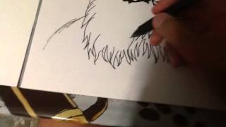 Player Profile Eagle speed draw