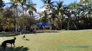 Blanche Park (Dog Park) 4K Walking Tour , Coconut Grove , Miami FL 2023