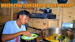 Malam yang sejuk di guyur hujan deras !! Rutinitas harian membasmi tumbuhan ilalang..