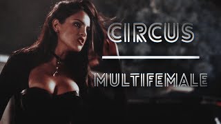 Celebrity Circus | Multifemale Net Worth