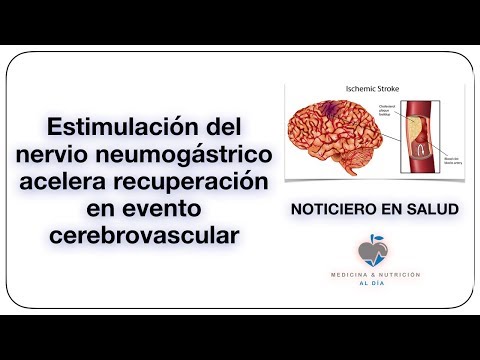 Vídeo: Redes Neuronales Y El Efecto Antiinflamatorio De La Estimulación Transcutánea Del Nervio Vago Auricular En La Depresión