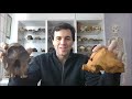 Variabilidad en Paranthropus boisei